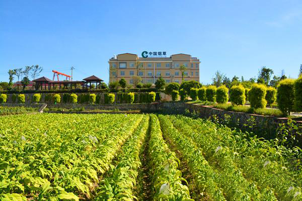 中国烟草 永州市烟叶生产技术中心