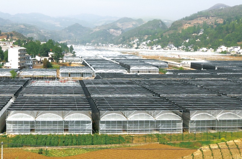 贵州毕节食用菌产业园